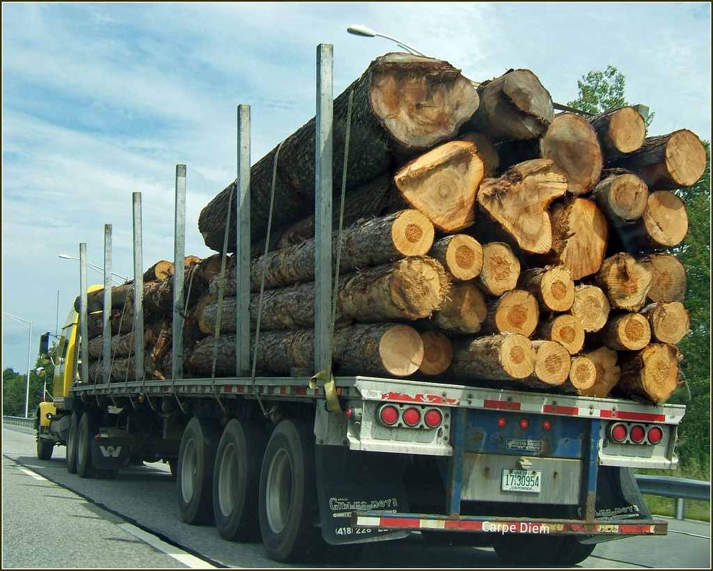 Taking steps to minimise risk of prosecution is vital in industries such as the logging business ... photo by CC user tonythemisfit on Flickr