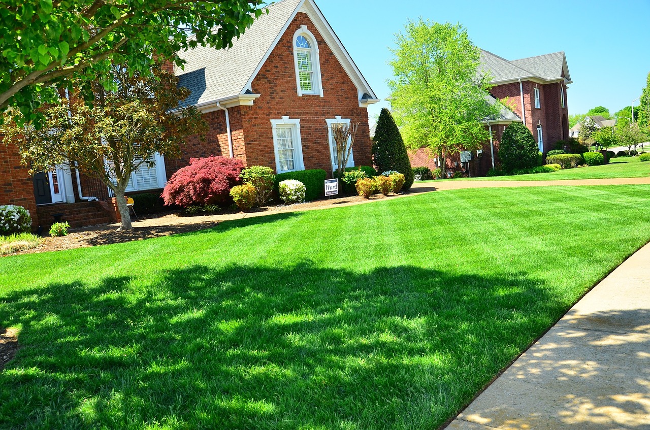 Those that Protect your Lawn from Thatch can get front lawns that look like this Those that Protect your Lawn from Thatch can get front lawns that look like this