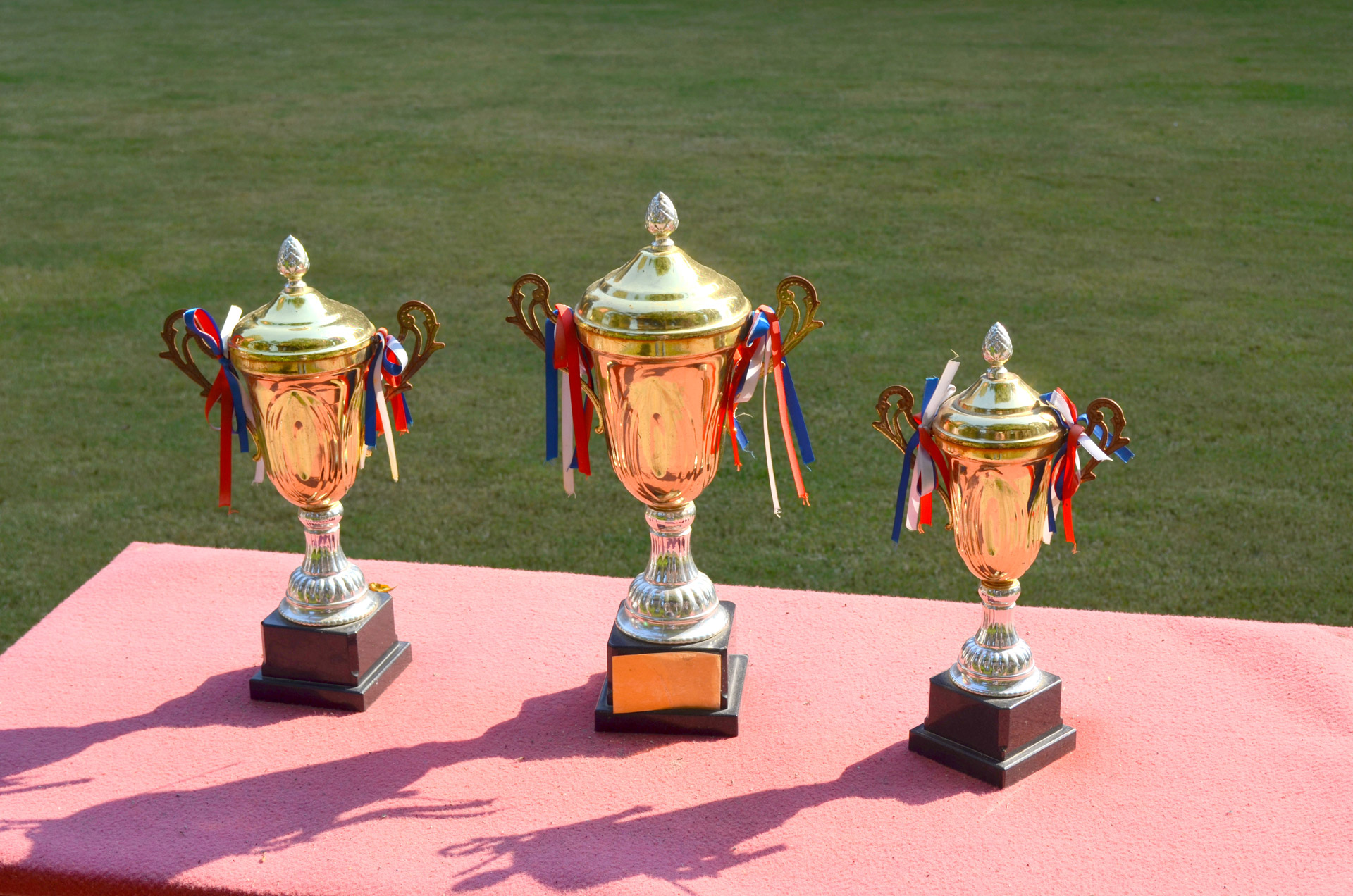 The Tradition of Trophies is an interesting one to learn about... The Tradition of Trophies is an interesting one to learn about...